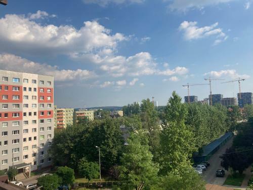 Katowice Apartament Modrzewiowa 24