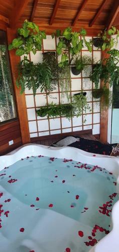 Casa Cocais-ibi�na-piscina Climatizada, Jacuzzi & Sauna