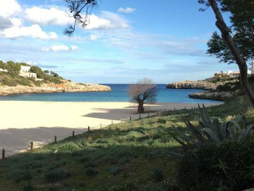 Apartamento On The Beach ! Fiber Internet! October Reduction!