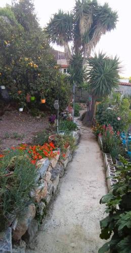 Apartamento Paradise Home