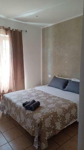 Hostal Mondo House