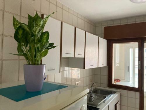 Emilio Tuya Vut-3042-as - Twelve's Apartaments