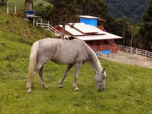 Agroturismo Pousada Caf� Na Montanha