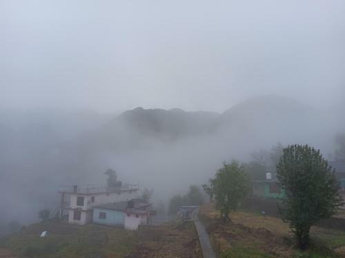 Bed & Breakfast The Mountain View Homestay