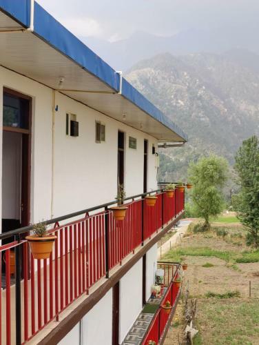 Bed & Breakfast The Mountain View Homestay