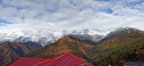 Bed & Breakfast The Mountain View Homestay