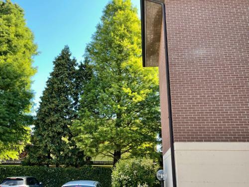 Apartamento Bilocale Country Chic 'maison Rose' Two Km From The Modena Sud Exit