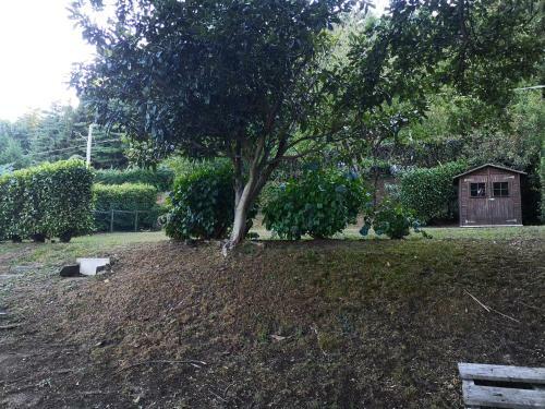 Apartamento Spiaggia Privata E Appartamento Lago D'orta