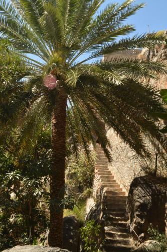 Hostal Misfah Old House