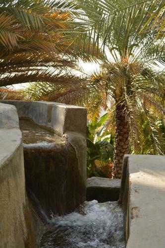 Hostal Misfah Old House