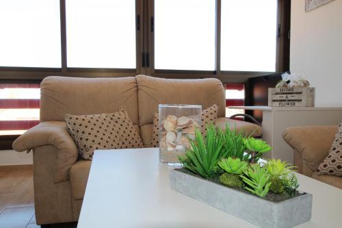 Apartamento Confortable En Jardin Del Mar