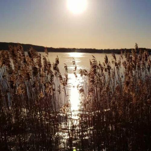 Apartment Bella Vista