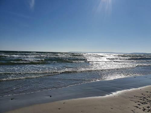 Apartamento Ferienwohnung In Sassnitz - Ruegen