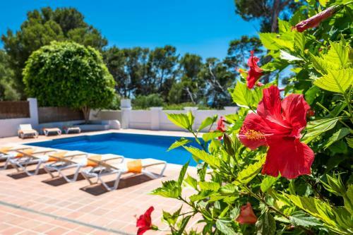 Sch�ne Villa Am Meer In Sant Elm - 3001