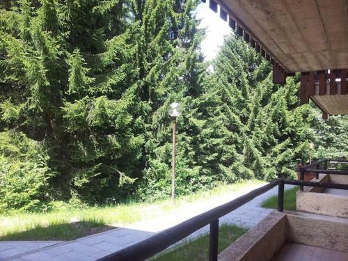 Apartamento Bosco E Natura, Trilocale Grande E Molto Comodo!
