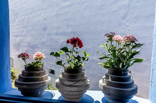 Lazurite Apartments