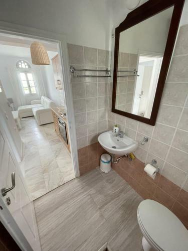 Amedi Villas Tinos