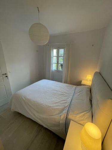 Amedi Villas Tinos