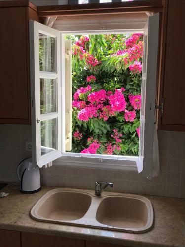 Amedi Villas Tinos