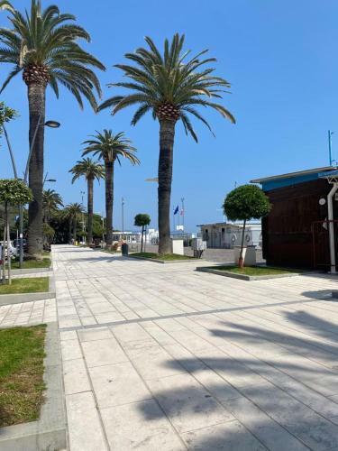 Apartamento Villa Paolina Ceriale - App. 4 Posti