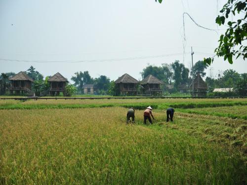 Hotel Vieng Tara Villa