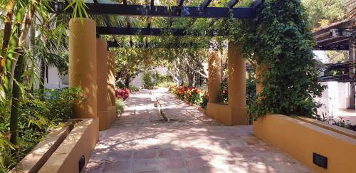 Apartamento Penthouse In Jardines De Las Golondrinas