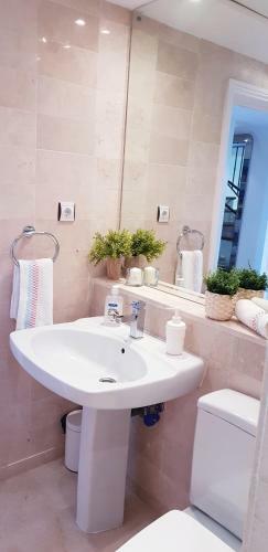 Apartamento Penthouse In Jardines De Las Golondrinas