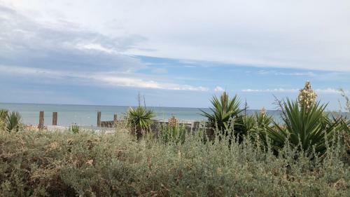 L'araign�e Village Naturiste