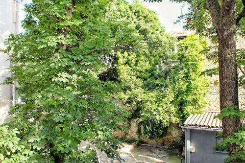 Apartamento ? L'escapade Occitane ?(occitan Getaway) - Arceaux