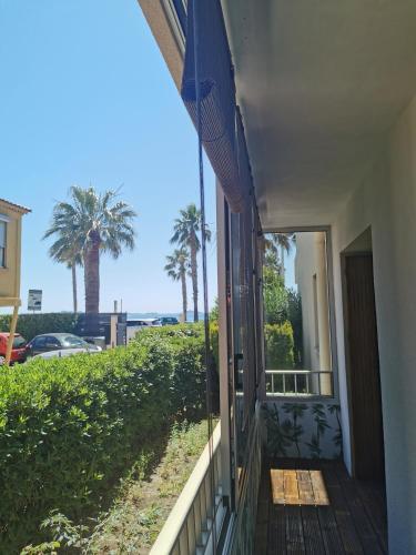 Apartamento Vue Mer � 20 M�tres De La Plage !