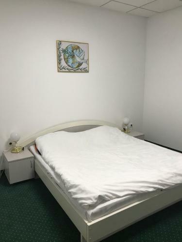 Albergue Apartament In Regim Hotelier