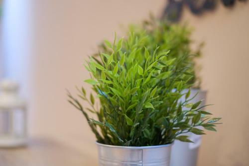 Lella Apartment 2 - Duplex - Epicenter Of Belgrade