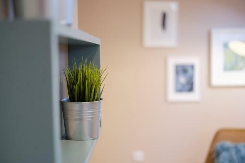 Lella Apartment 2 - Duplex - Epicenter Of Belgrade