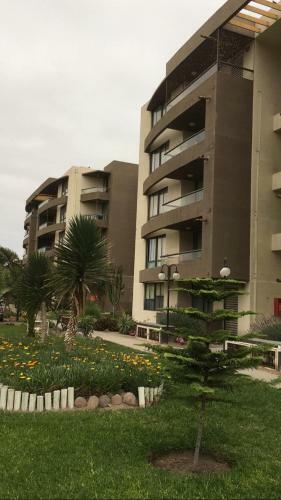 Apartamento Departamento Por D�a Arica