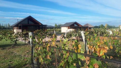 Hostal Martyniuk Lodges Entre Vi�edos