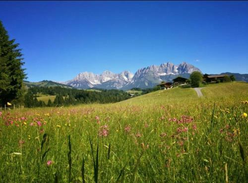 Agroturismo Hof Hintererb