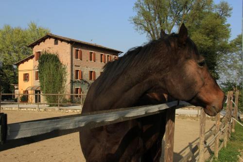 Bed & Breakfast Aiceltis