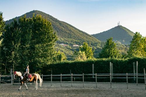 Bed & Breakfast Aiceltis