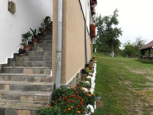 Hostal Casa Relax