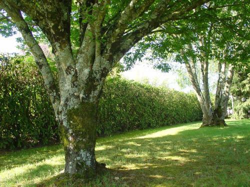 Bed & Breakfast Chambre D'h�tes Bellevue