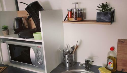 Apartamento Studio Confort Jungle