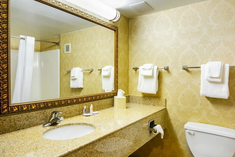 Hotel Comfort Inn Woodstock