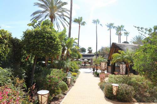 Apartamento Costa Del Sol, Marina Del Mar