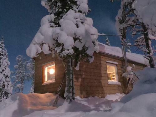 Tiny Lakeside Home