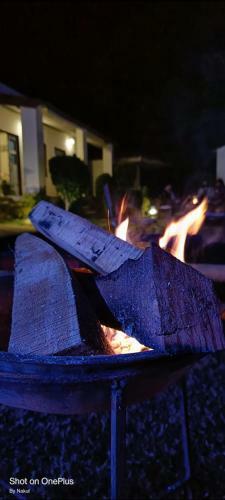Hotel Sundervan Wildlife Resort