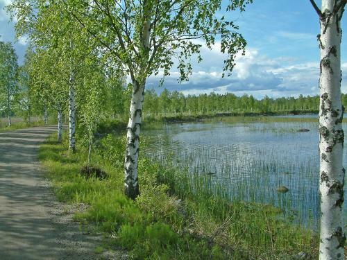 Hotel Loikansaari Lomam�kit Holiday Cottages