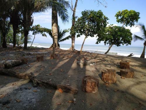 Four Monkeys House -cabo Matapalo Surf