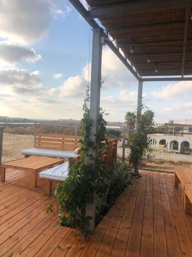 Rooftop Camping, In Front The Mediterranean Sea, Facing The Carmel Mounts