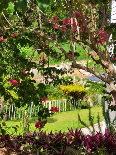 Apartamento Destiny Palms Apt Beach Five Minutes Drive Away