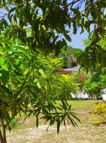 Apartamento Destiny Palms Apt Beach Five Minutes Drive Away